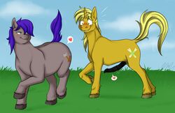 animal_genitalia animal_penis blush cartoonlion coaldust cutie_mark equine_penis erection female greenhoof horsecock male my_little_pony penis presenting raised straight