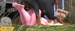 3d 3d_(artwork) amy_rose amy_rose_(warfaremchine) bestiality canine canine_genitalia canine_on_human canine_penis doggy_style doggy_style_position dominant_feral female female_focus feral feral_dominating_human feral_on_female feral_on_human feral_penetrating o7sfm outside questionable_consent sonic_(series) sonic_the_hedgehog_(series) tagme video warfare_amy zoophilia