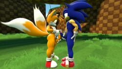 3d anthro balls canine duo erection fox frottage fur furry_tail hedgehog male mammal miles_prower multiple_tails nude penis sanory_(artist) sex sonic_(series) sonic_the_hedgehog tail tails tails_the_fox yaoi