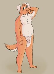 absurd_res anthro belly blueguylie canid canine foreskin fur genitals hi_res male mammal nude orange_body orange_fur penis shy solo