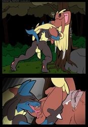 blue_fur colored lopunny lucario nastacula nintendo penis pokemon pokemon_(species) pussy redoxx uncensored video_games