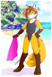 1boy 5_fingers anthro black_nose blue_eyes bracelet brown_hair bulge canine clothing danboyya2000 digitigrade erection fox green_eyes hair heterochromia humanoid_penis jewelry male male_only mammal one-piece_swimsuit penis solo standing swimsuit