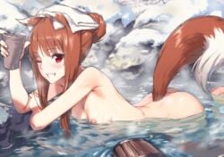 1girls blush highres holo hot_spring kawakami_rokkaku small_breasts spice_and_wolf tagme water