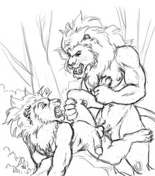 anal anthro balls chris_mckinley duo feline lion male mammal penis sketch yaoi