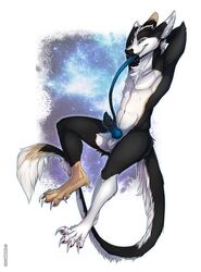 1boy 2016 animal_genitalia anthro balls dragon erection fur furred_dragon knot long_tongue looking_at_viewer male male_only nude penis sakyubasu simple_background smile solo tazara thash tongue tongue_out white_fur