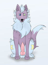 balls canine dirty.paws feral knot kuro luxeon male_only mammal nintendo penis pokemon presenting wolf