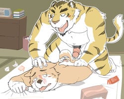 anal anthro canine duo feline gay kotori male male/male male_only mammal penis tiger yaoi