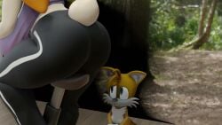 Sonic (Series) Rule 34 Video