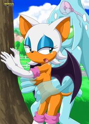 ambiguous_penetration bat bbmbbf breasts chaos_(sonic) clothing elbow_gloves exhibitionism female gloves grassland holding_breast male mammal mobius_unleashed palcomix palcomix_vip penetration public rouge_the_bat sky sonic_(series) straight translucent tree