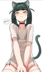 mew from zenless zone zero