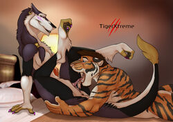 anthro anus black_fur breasts duo feline female fur ja'rah male mammal nude open_mouth oral orange_fur penis pink_nose prehensile_clitoral_hood purple_eyes purple_fur pussy sergal sex smile straight stripes tiger tigergear whiskers white_fur