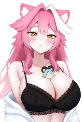 chattino (raora panthera) from hololive