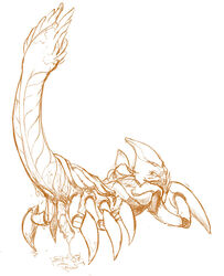 arachnid arthropod crixalis_the_sand_king cum cum_pool custapple erection line_art long_tail looking_at_viewer male male_only monochrome multi_leg multi_limb penis scorpion simple_background sketch solo white_background