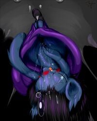 autofacial bat_pony blush frist44 furry ipomoea masturbation my_little_pony pussy_juice upside-down vampire_bat