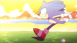 amy rose from sega by d-art