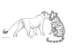 ambiguous_gender duo ebonytigress feline female feral greyscale lion mammal monochrome nuzzling pencil presenting pussy tiger