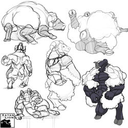 all_fours animal_genitalia anthro backsack balls big_balls big_muscles big_pecs black_skin caprine curved_horns feral fully_sheathed fur hooves horn huge_balls hyper hyper_balls hyper_sheath male male_only mammal muscular partially_sheathed pecs penis penis_tip sheath sheep slightly_chubby thick_thighs white_fur xatanlion