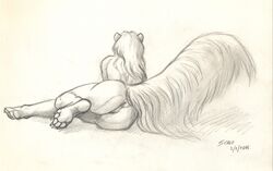 anus female mammal monochrome nude pussy scale_(artist) sketch skunk solo