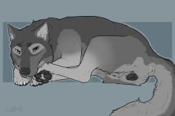 2025 animal_genitalia animal_pussy animal_vulva anus black_pawpads black_vulva canid canine canine_genitalia canine_pussy canine_vulva canis cheek_tuft dated facial_tuft feet female female_feral feral fur genitals glistening glistening_eyes grey_body grey_eyes grey_fur hi_res lying mammal mouth_closed on_front pawpads paws pussy side_view signature simple_background sketchy_shelby solo tuft vulva whiskers wolf