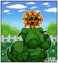 sunflower (pvz) from plants vs zombies by leirnabs