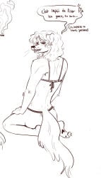 ass ass_focus bikini french furry oc