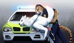 anal anal_sex anthro balls baton canine cheetah clothing duo feline folf fox hybrid improvised_dildo improvised_sex_toy male mammal penetration penis police police_baton police_uniform snowfoxatheart uniform vehicle wolf yaoi