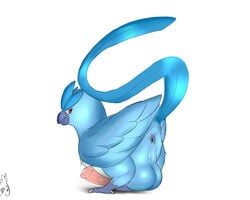 anus articuno avian balls beak big_balls big_penis erection feral humanoid_penis legendary_pokemon looking_at_viewer male male_only nintendo penis perineum pokemon pokemon_(species) presenting presenting_anus seyrmo side_view unamused video_games