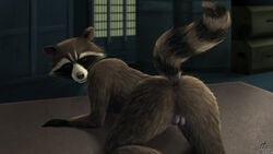 1boy 2016 all_fours anus balls emptyset guardians_of_the_galaxy looking_at_viewer looking_back male male_only mammal marvel nude presenting raccoon raised_tail rocket_raccoon solo