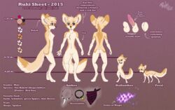 2015 animal_genitalia anthro balls canine collar english_text erection fennec feral fox jewelry magic male mammal model_sheet necklace pussy red_eyes ruki_(character) rukifox scarf sheath solo