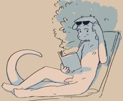 finn_(funkybun) funkybun furry lizard looking_at_viewer naked naked_male reptile