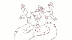 2016 anal anal_sex animated anthro ass ball_gag balls breasts closed_eyes duo erection female fur furry fuzzamorous gag knot legs_up loop male methra_(character) monochrome multiple_tails nipples nude on_top penetration penis pussy reverse_cowgirl_position sergal sex simple_background sketch straight tail turkinwif white_background