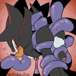 shadow the hedgehog from sega by obsidianthedrake