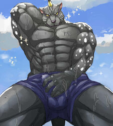 1boy abs akuann anthro bulge clothing colored erection eugene_gallardo feline looking_at_viewer male male_only mammal muscular pecs simple_background sky solo tales_of_(series) tales_of_rebirth underwear video_games