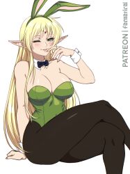 deedlit from record of lodoss war by elfoppai