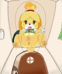 animal_ears anus bell blonde_hair bottomless cup dog_ears dog_girl female furry green_vest hair_ornament hair_tie isabelle_(animal_crossing) mug open_mouth pussy solo spread_legs tail toilet toilet_paper topknot underwear vest