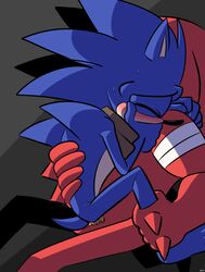 blue_arms blue_fur furry hedgehog kickstartaholic male_only mammal penis sex sonic_(series) sonic_the_hedgehog