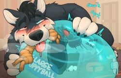 absurd_res against_surface animal_genitalia anthro ball balls bedroom_eyes blush blush_lines blushing_profusely bodily_fluids bondage canid chew_toy collar drooling drooling_tongue genital_fluids genitals glistening glistening_genitalia hi_res humping inflatable inflatable_ball inflatable_valve leaking_precum looking_at_viewer looking_pleasured male male_anthro mammal motion_lines narrowed_eyes object_humping onomatopoeia penis penis_tip petplay precum puppyplay roleplay saliva seductive sex_toy sheath slippery solo sound_effects squeaking statiik_(artist) text toy_humping translucent transparent_object transparent_sex_toy wet_surface