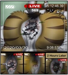 after_vore anal anal_vore anthro anus ass big_butt bodily_fluids bone bones_in_feces crying death digital_media_(artwork) disposal duo english_text extreme_size_difference fart fart_cloud fatal_vore feces felid fur hair hi_res livestream male male/male male_penetrated mammal micro nude open_mouth pantherine penetration raised_tail scat scat_disposal size_difference skull smile striped_body stripes tail tears text tiger tigerboy0916 tongue vore white_body white_fur