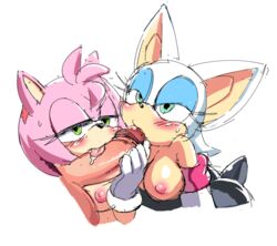 amy rose from sonic (series) by coolblue
