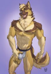 anthro areola bedroom_eyes brown_body brown_fur bulge canid canine canis clothed clothing detailed_bulge digital_media_(artwork) domestic_dog fingers flaccid foreskin fur genital_outline genitals german_shepherd hair half-closed_eyes herding_dog hi_res humanoid_genitalia humanoid_penis jockstrap jockstrap_only lion21 looking_at_viewer male mammal narrowed_eyes nipples open_mouth partially_retracted_foreskin pastoral_dog pecs penis penis_outline seductive simple_background smile solo standing tail teeth topless topless_anthro topless_male underwear underwear_only
