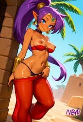 shantae (character) from shantae by nbai art