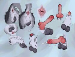 animal_genitalia animal_penis anus balls bodily_fluids canid canine canine_genitalia canine_penis cum darkened_balls darkened_genitalia feral fur genital_fluids genitals grey_body grey_fur hi_res knot knotted_penis male mammal penis queenkoko sheath solo