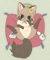 anus black_eyes cum female feral flower kemono konzaburou looking_at_viewer lying mammal on_back pillow plant pussy raccoon simple_background solo spread_legs spreading tears