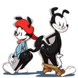 animaniacs ass balls brothers duo jerseydevil male male_only sibling wakko_warner yakko_warner