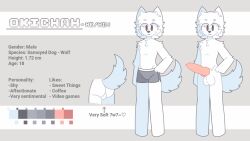 1boy background balls blush candy canid canine character_sheet cum dessert dripping duo eating food fur genitals inside male male_only nude okichah okichah_art original original_artwork pawpads penis reichan_art smile solo standing tail yiff