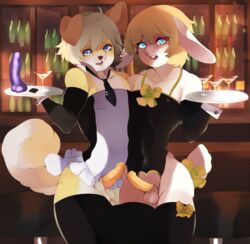 alcohol anthro balls beverage canine clothing condom dragroon duo erection food inside lagomorph legwear looking_at_viewer male mammal open_mouth penis precum rabbit teeth thick_thighs thigh_highs tongue waiter yaoi