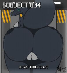 against_surface animated anthro ass big_butt breasts female genitals nude on_glass presenting presenting_hindquarters pussy rear_view side_boob snapps solo unknown_species