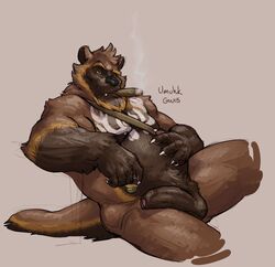 1boy alcohol anthro balls beard beverage captaingerbear cigar claws facial_hair food glass half-erect male male_only mammal markings muscular penis slightly_chubby smoke smoking solo umuhk uncut whiskey wolverine