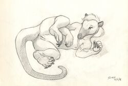 2016 anteater anus breasts female lying mammal nude on_side pussy scale_(artist) sketch small_breasts solo spread_legs spreading tamandua tongue tongue_out