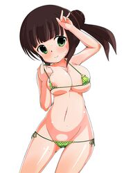 artist_request bikini black_hair blush breasts chiya_ujimatsu female green_eyes is_the_order_a_rabbit? large_breasts micro_bikini navel nipple_slip nipples pussy smile solo sweat swimsuit uncensored